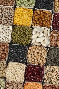 ماده غذایی موثر در استرس