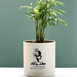 نخل شامادورا