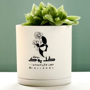 هاورتیا شیشه ای