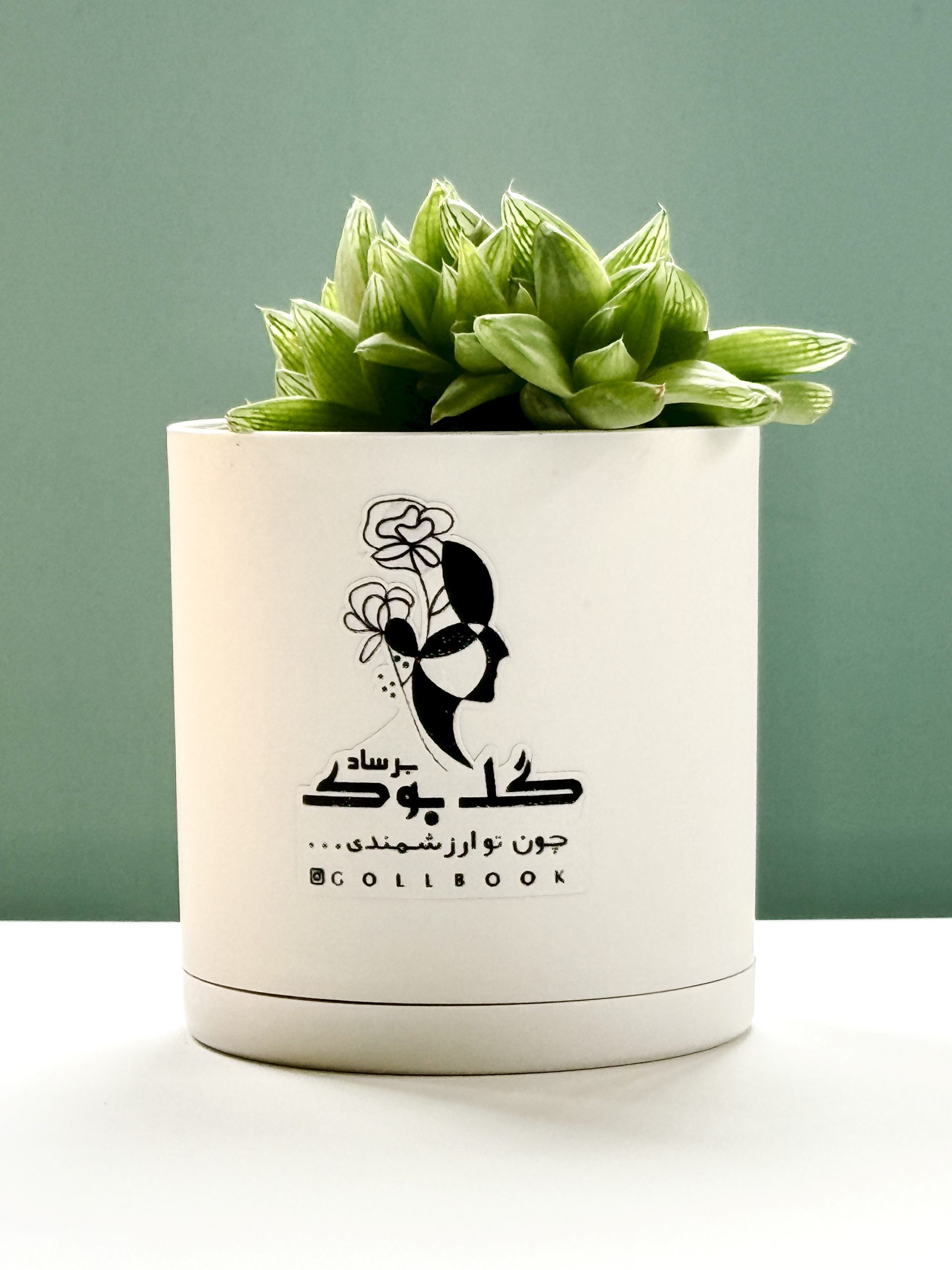 هاورتیا شیشه ای